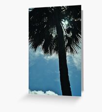 palm 5 Greeting Card