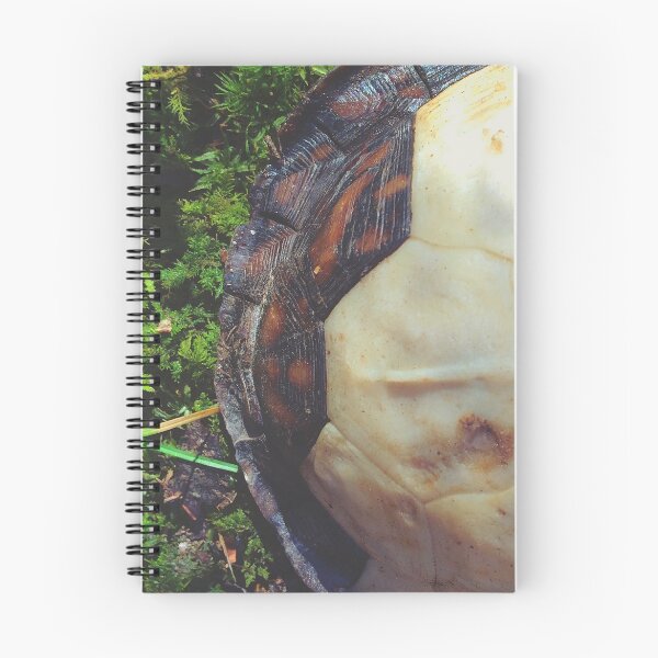 Item preview, Turtle Shell In Moss designed and sold by thedesignvine.