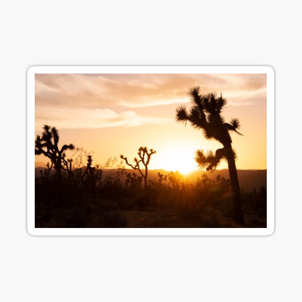 Item preview, Joshua Tree Sunset designed and sold by Elena Ray.