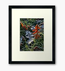 Head over heels Framed Print