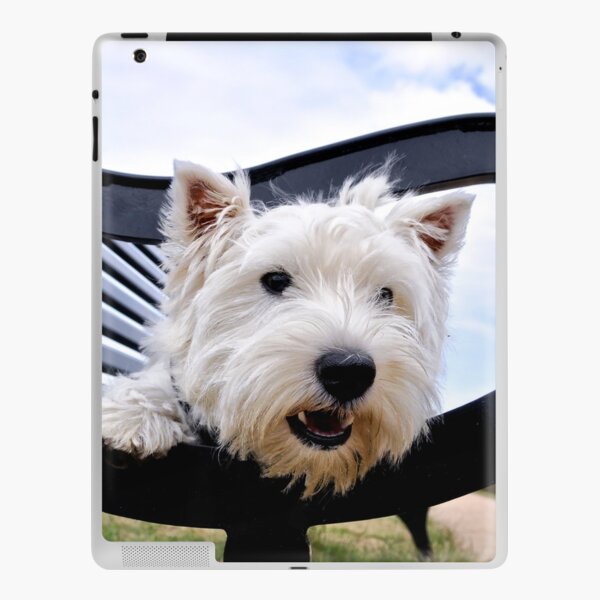 Westie, west highland terrier, Bella - just sayin', prints and gifts iPad Skin