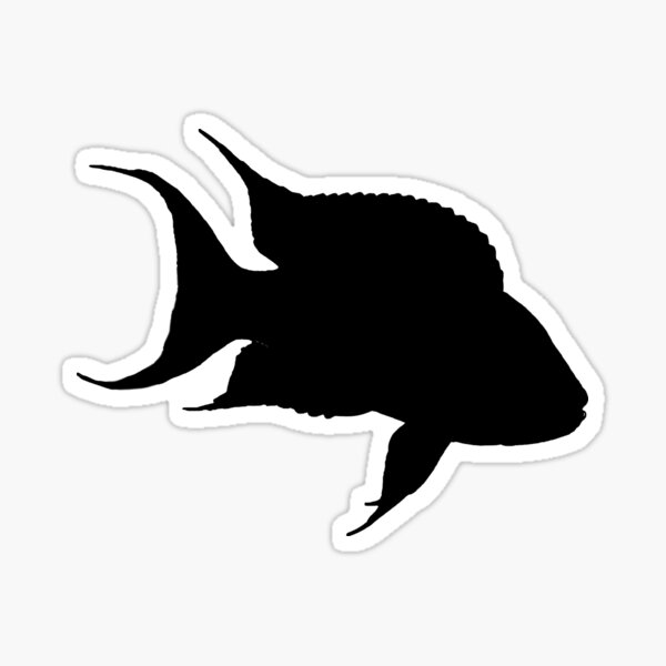 Princess Cichlid Sticker