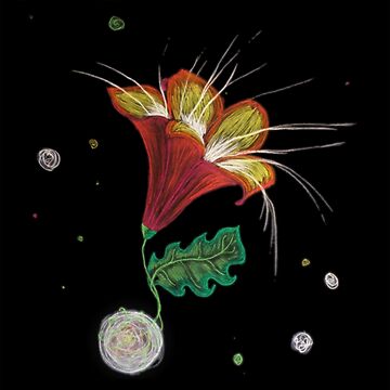 Artwork thumbnail, The Red Lily in Space by Sophia Neishtoot