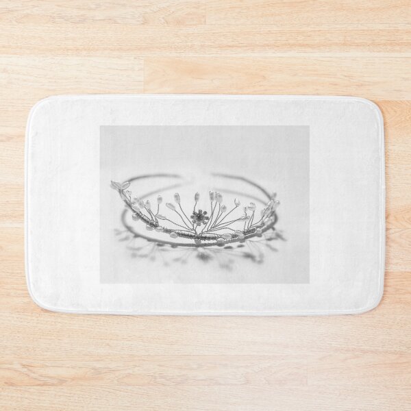 Item preview, Tiara 6 designed and sold by Sonja Martin Photography.