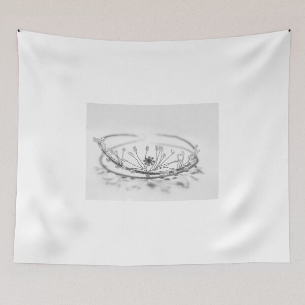 Item preview, Tiara 6 designed and sold by Sonja Martin Photography.