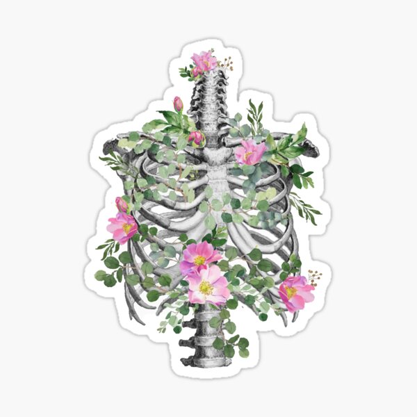 Anatomy, ribcage, rib cage,skeleton pink roses Sticker
