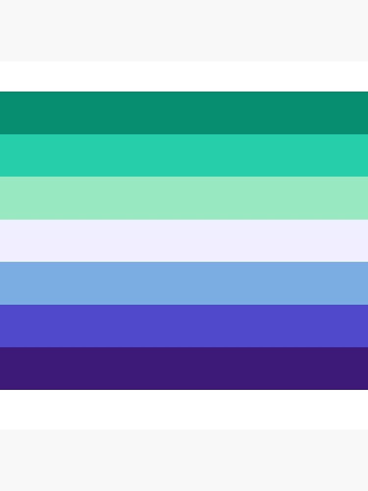 amazon gay pride flag with two male symbols
