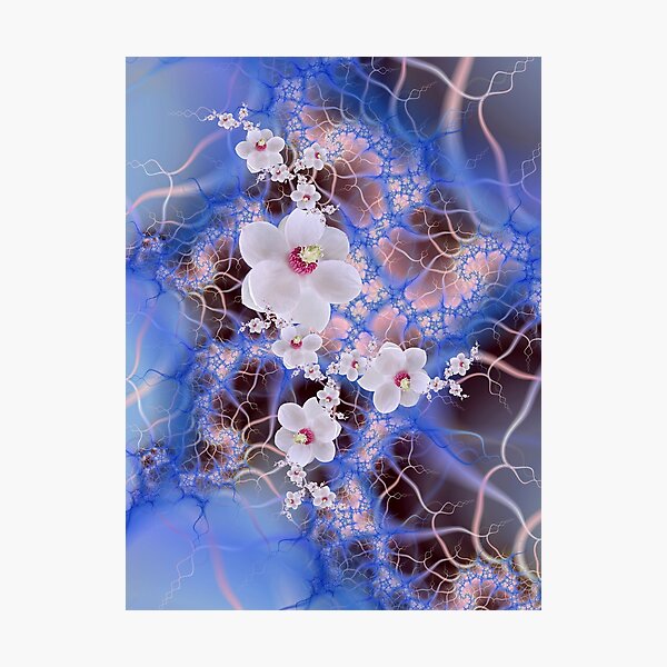 Magnolia Storm - Pink Purple Blue Flower Fractal Photographic Print
