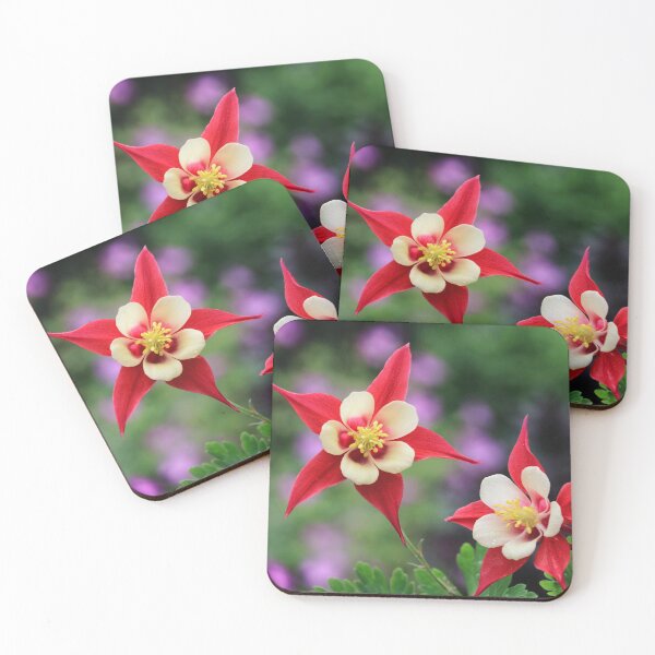 Item preview, Aquilegia Red Dream. designed and sold by John Ray.