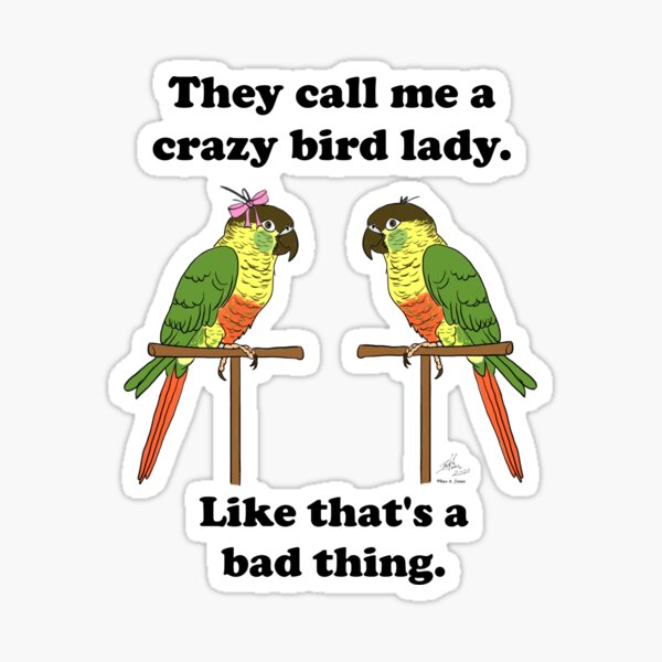 Crazy Parrot Lady Stars Fridge Magnet Funny Animal Bird Pet