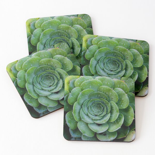 Item preview, Rose succulent after the rain designed and sold by xantilly.