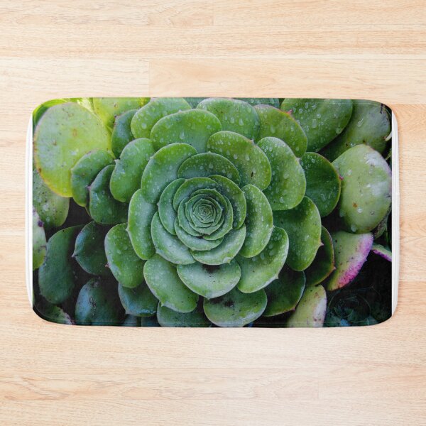 Item preview, Rose succulent after the rain designed and sold by xantilly.