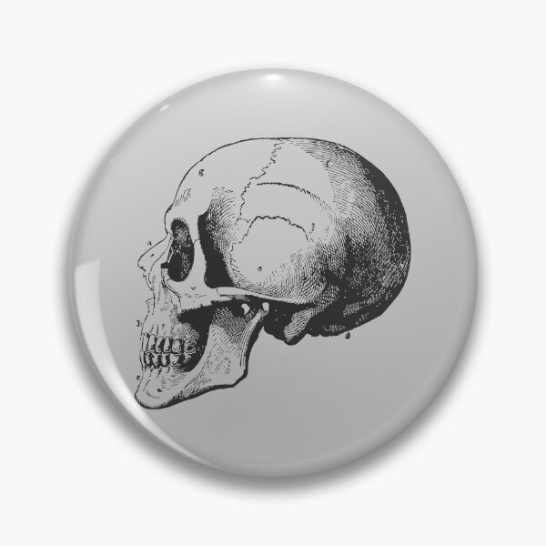 Item preview, anatomical skull designed and sold by ThrowBack-Clot.