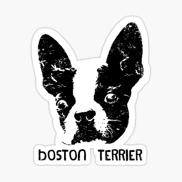 Item preview, Boston Terrier (American Gentleman) Dog designed and sold by JLGiles.