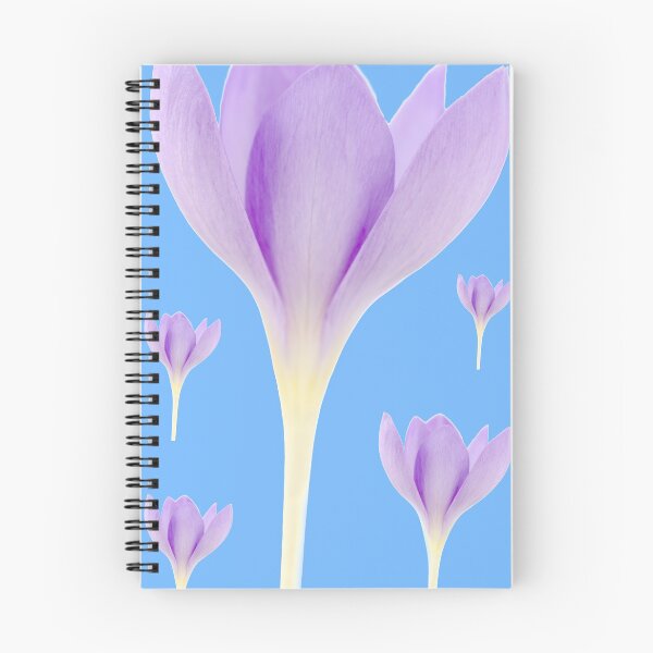 Item preview, Crocus goulimyi   AGM  Autumn flowering crocus designed and sold by Chris Burrows.
