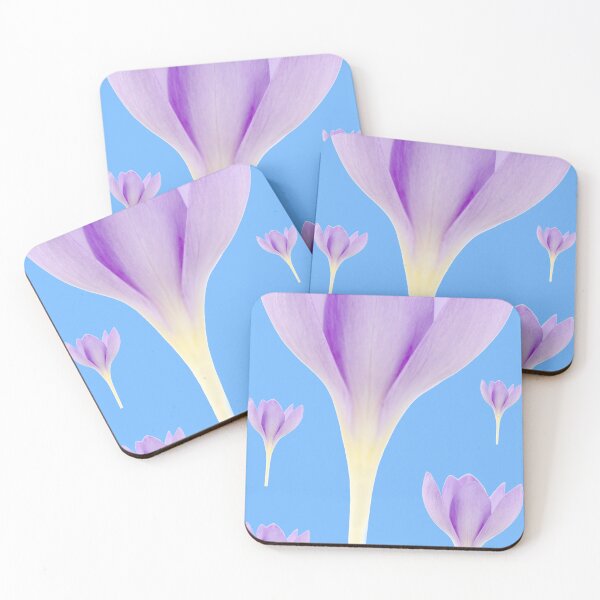 Item preview, Crocus goulimyi   AGM  Autumn flowering crocus designed and sold by Chris Burrows.
