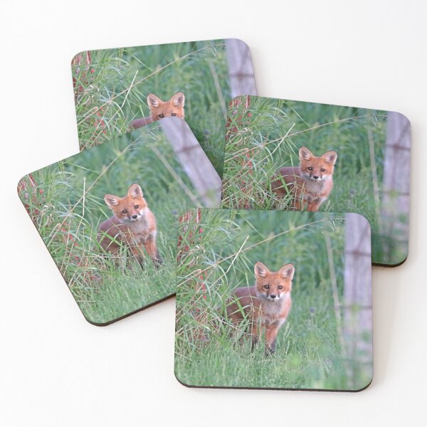 Item preview, Adorable Red Fox Kit designed and sold by Deb Oppermann.