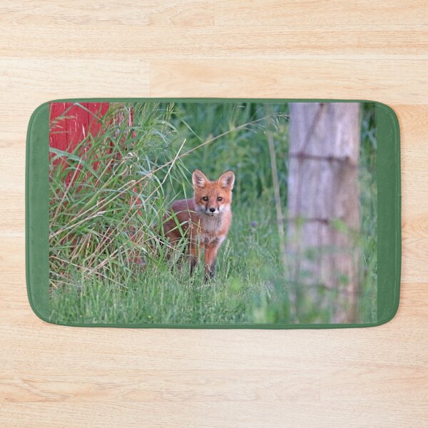 Item preview, Adorable Red Fox Kit designed and sold by Deb Oppermann.