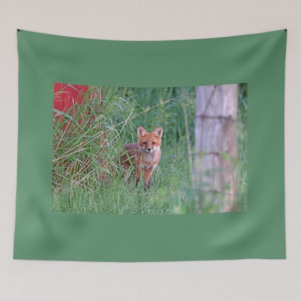 Item preview, Adorable Red Fox Kit designed and sold by Deb Oppermann.