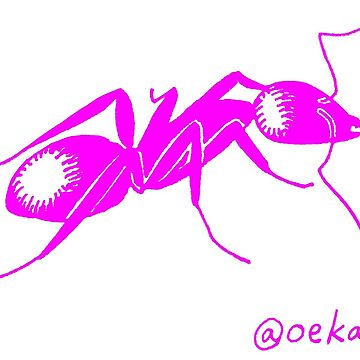 Artwork thumbnail, Ant! In Pink!* It might be more purple than you think!! by oekart