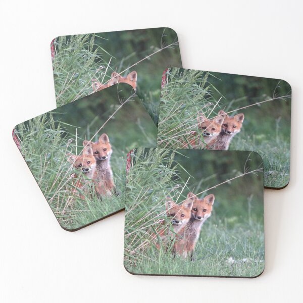 Item preview, Super Cute Red Fox Kits designed and sold by Deb Oppermann.