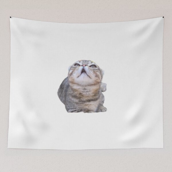 Tapestry