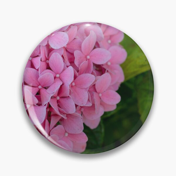 Artikelvorschau, Rosa Hidrangeas entworfen und verkauft von xantilly.
