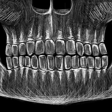 Artwork thumbnail, Skeleton Mouth by RoxaneLapa
