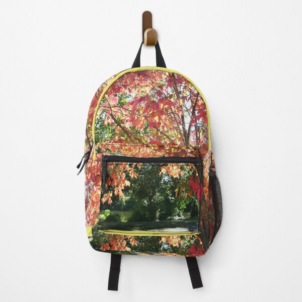 Item preview, Autumn Light, Bold Colorful Nature Photography by Courtney Hatcher designed and sold by cghatcherart.