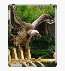 Scavenging Vulture iPad Case/Skin