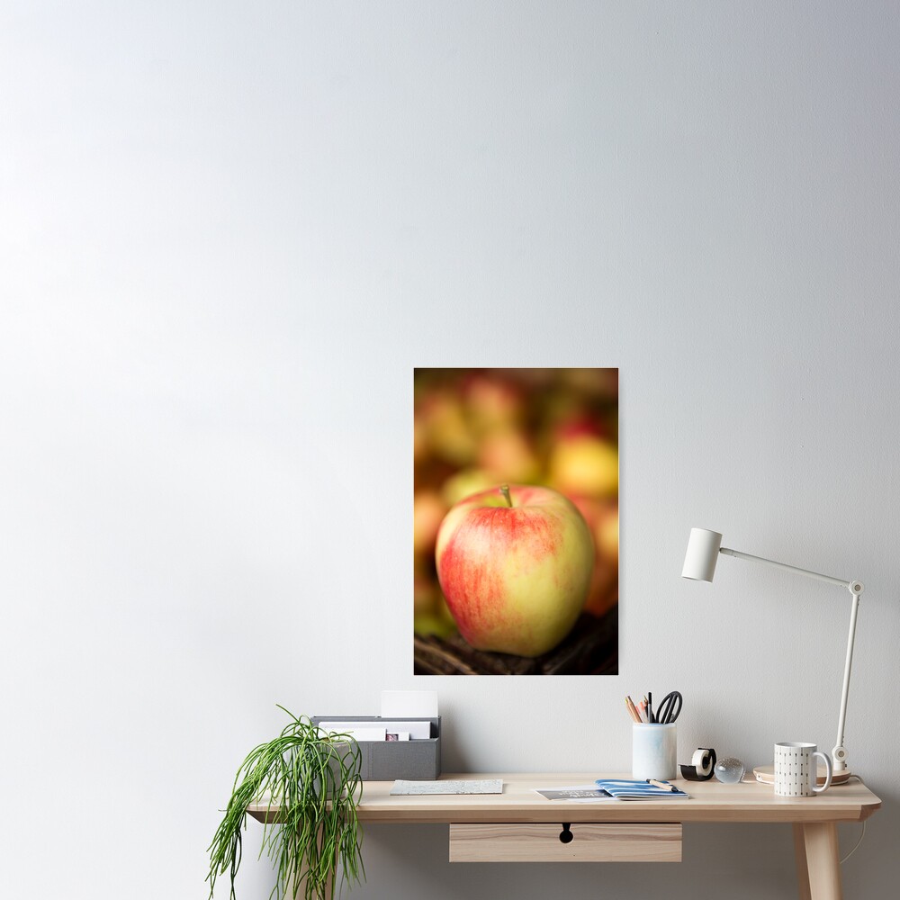 Fresh Ripe Organic Gala Apple Photograph by Kevin Miller - Pixels