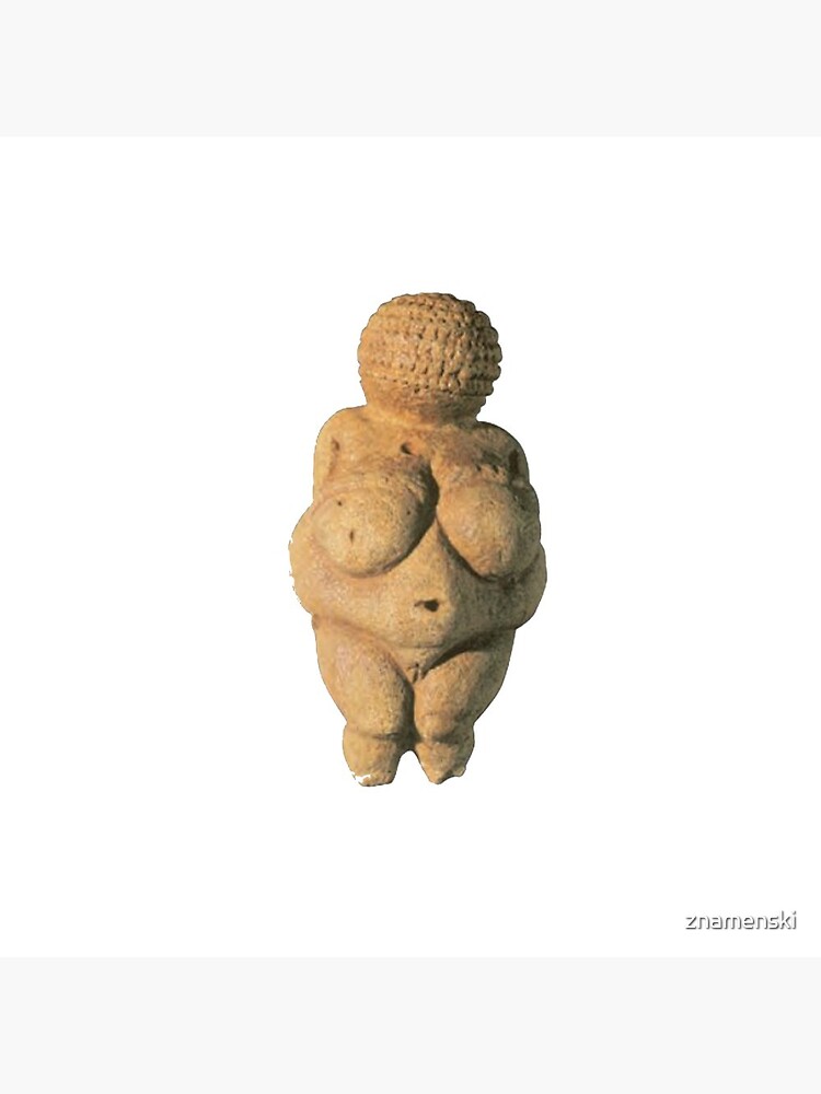 #Venus of #Willendorf #artifact sculpture art figurine statue humanbody #VenusofWillendorf by znamenski