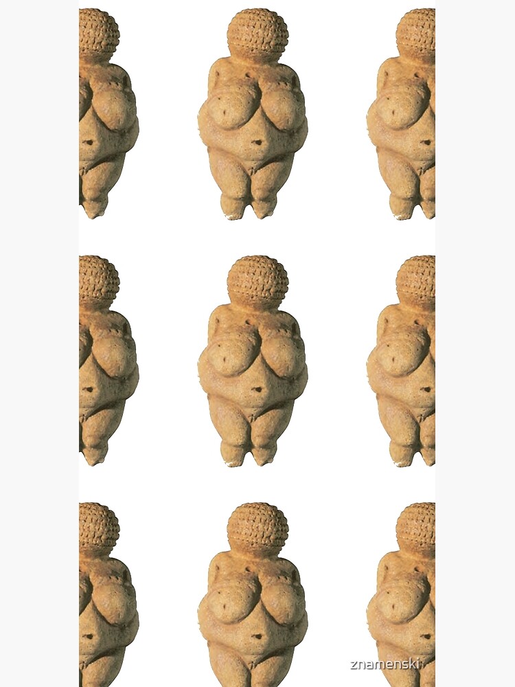 #Venus of #Willendorf #artifact sculpture art figurine statue humanbody #VenusofWillendorf by znamenski