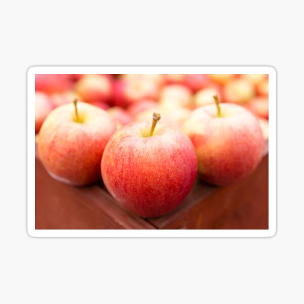 Fresh Ripe Organic Gala Apple Photograph by Kevin Miller - Pixels