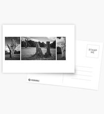 Trees on Hampstead Heath Postcards