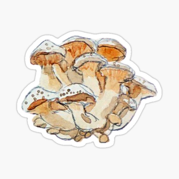 Honey Mushroom Clump - Watercolor Mushrooms Sticker