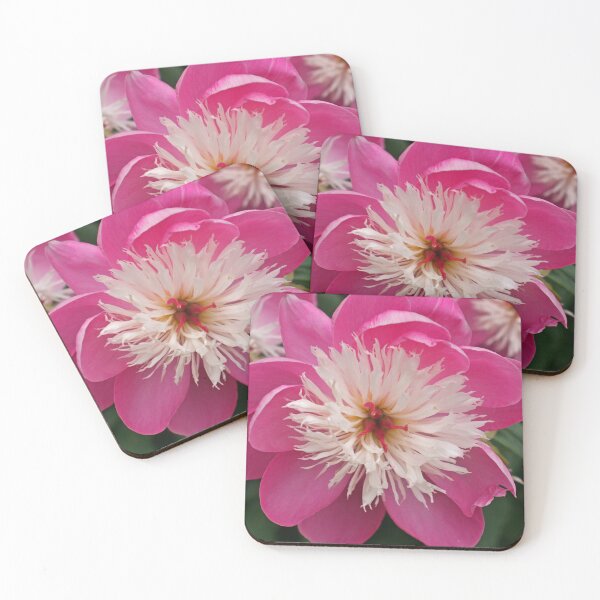 Item preview, Summer Colour, June 2020 designed and sold by RedHillDigital.