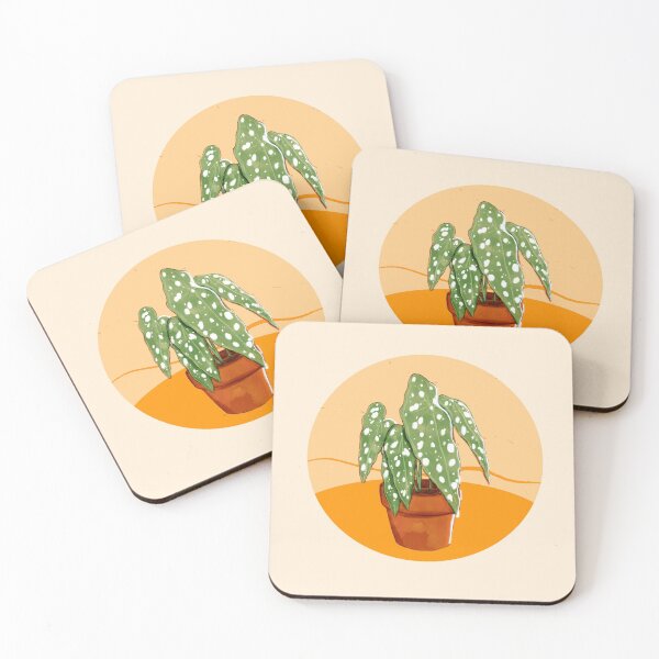 Item preview, Begonia Maculata  designed and sold by kookaburrapunk.