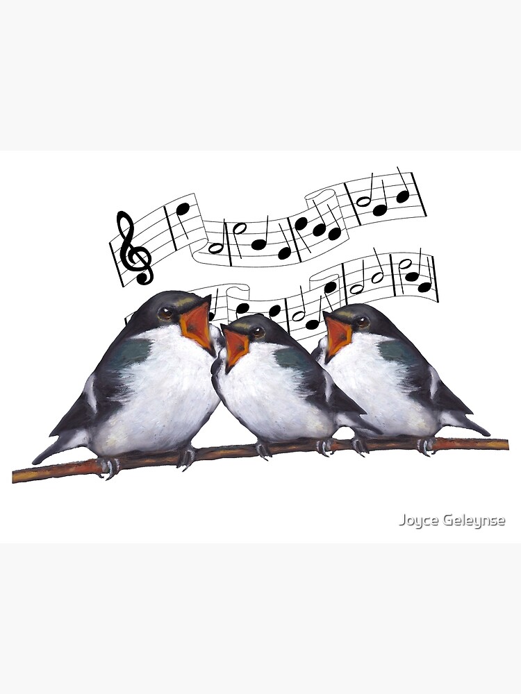 Three Singing Birds, Musical Notes, Choir, Singers, Music, Illustration,  Art Photographic Print for Sale by Joyce Geleynse