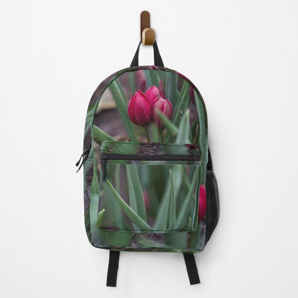 Item preview, Pink tulips in focus in a field designed and sold by Cvail73.