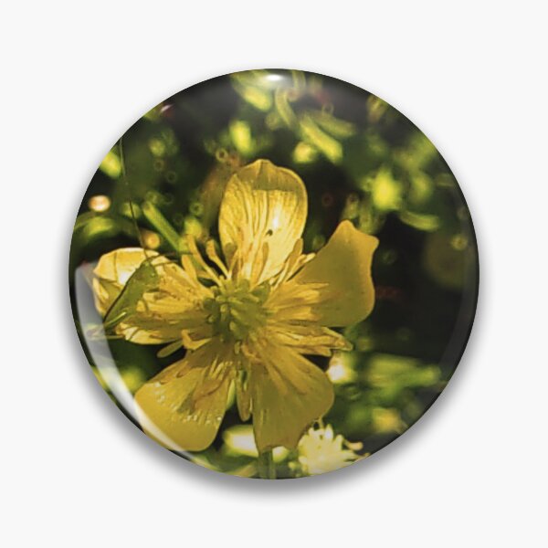 Item preview, Golden Hour Strawberry Floral In Lock Down 05/15/20 15:36 designed and sold by Mark Polk.