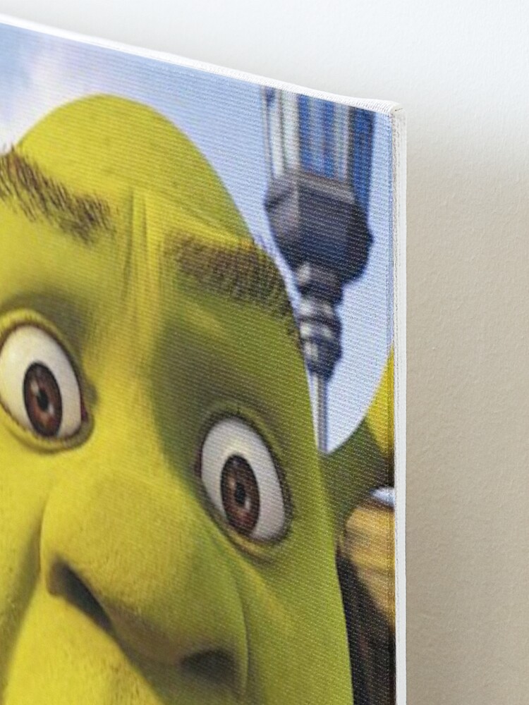 Shrek 1 - Shrek Surprised | Photographic Print