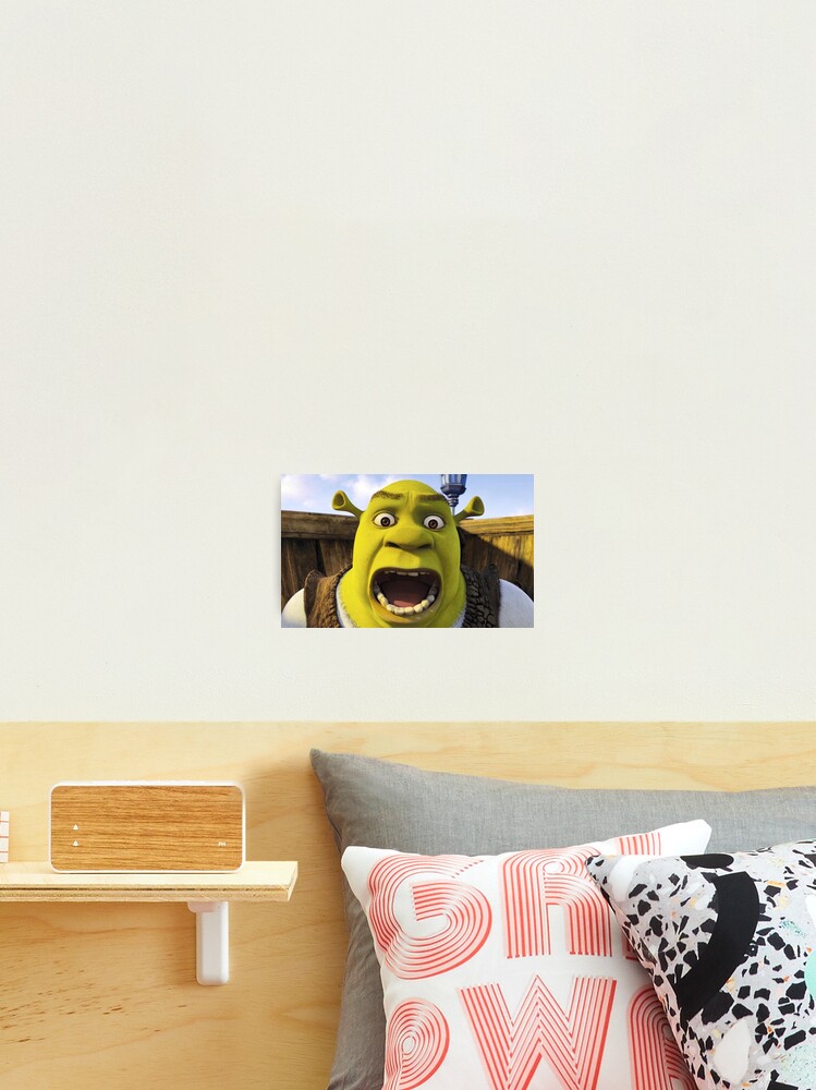 Shrek 1 - Shrek Surprised | Photographic Print