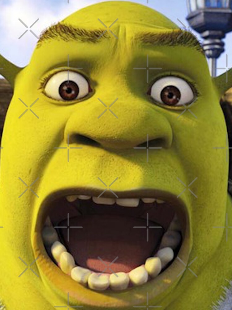 Sherk + roblox man face 😮‍💨  Shrek funny, Roblox funny, Male face