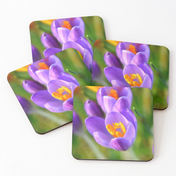 Item preview, First crocuses of the season designed and sold by photosforall.