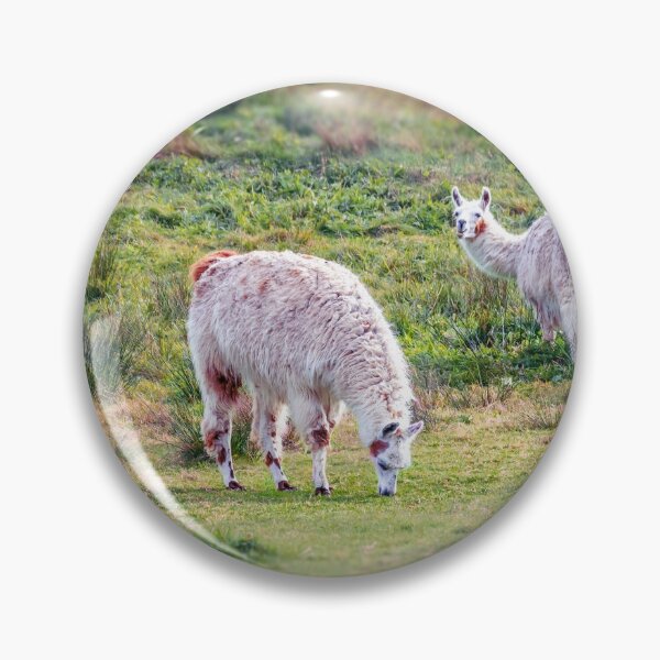 Item preview, Llamas designed and sold by kenmo.