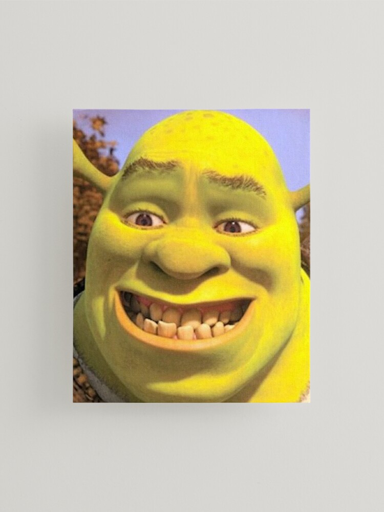 Shrek 2 - Shrek Awkward Smiling Photographic Print for Sale by volkaneeka