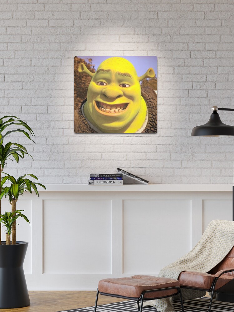 Shrek 2 - Shrek Awkward Smiling Photographic Print for Sale by volkaneeka