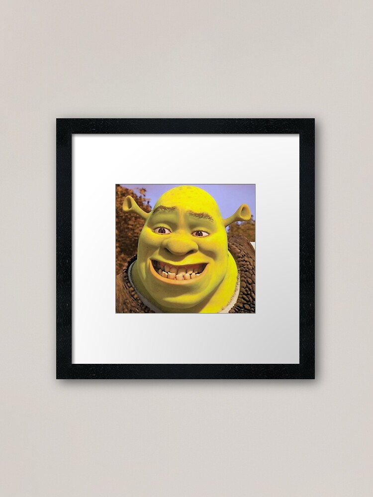 Shrek 2 - Shrek Awkward Smiling Photographic Print for Sale by volkaneeka
