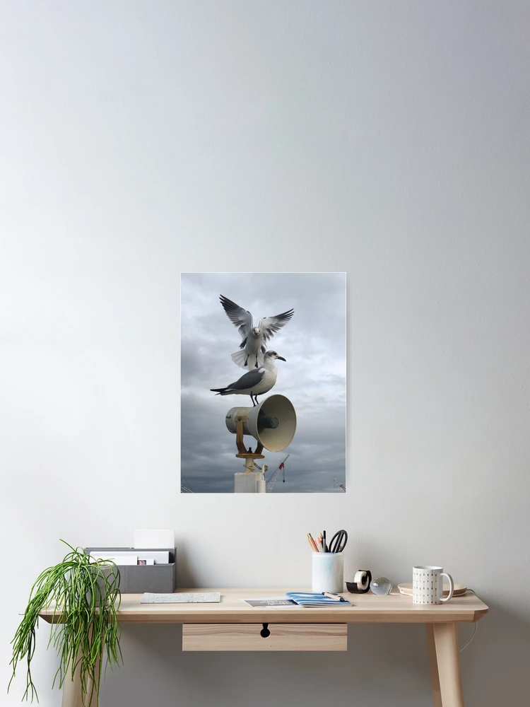 Thumbnail 2 of 3, Poster, seagulls designed and sold by RousseauCustoms.